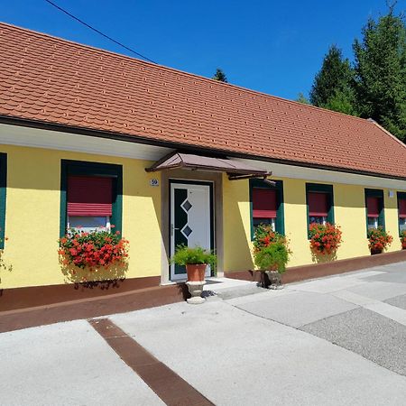 Hotel Pri Belokranjcu Novo Mesto Luaran gambar