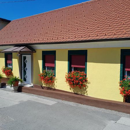 Hotel Pri Belokranjcu Novo Mesto Luaran gambar