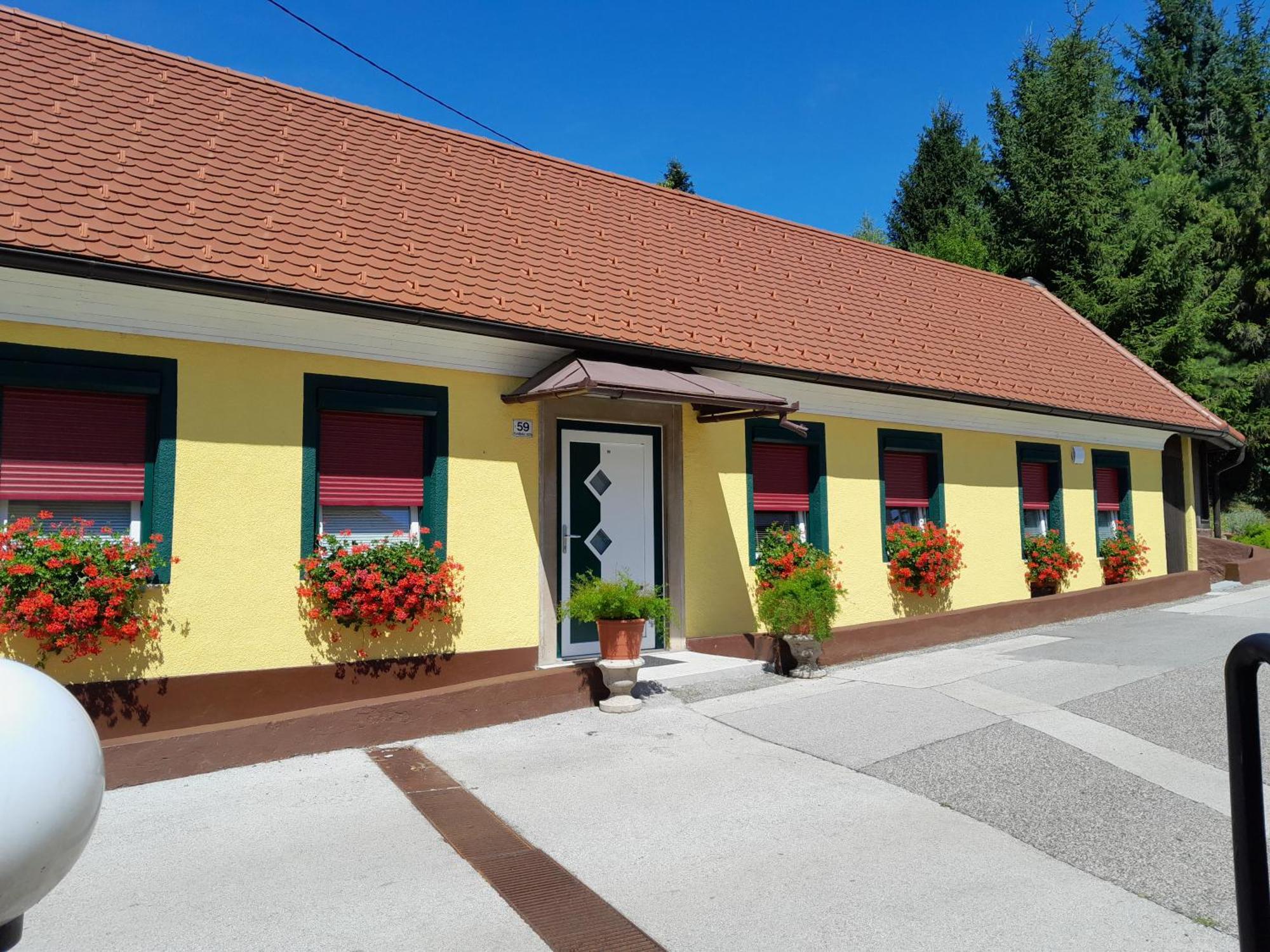 Hotel Pri Belokranjcu Novo Mesto Luaran gambar