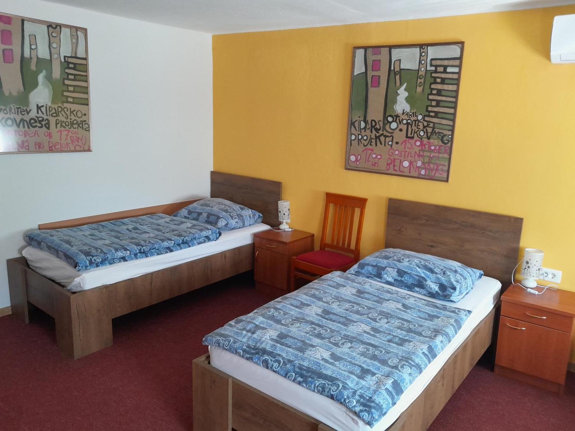Hotel Pri Belokranjcu Novo Mesto Luaran gambar