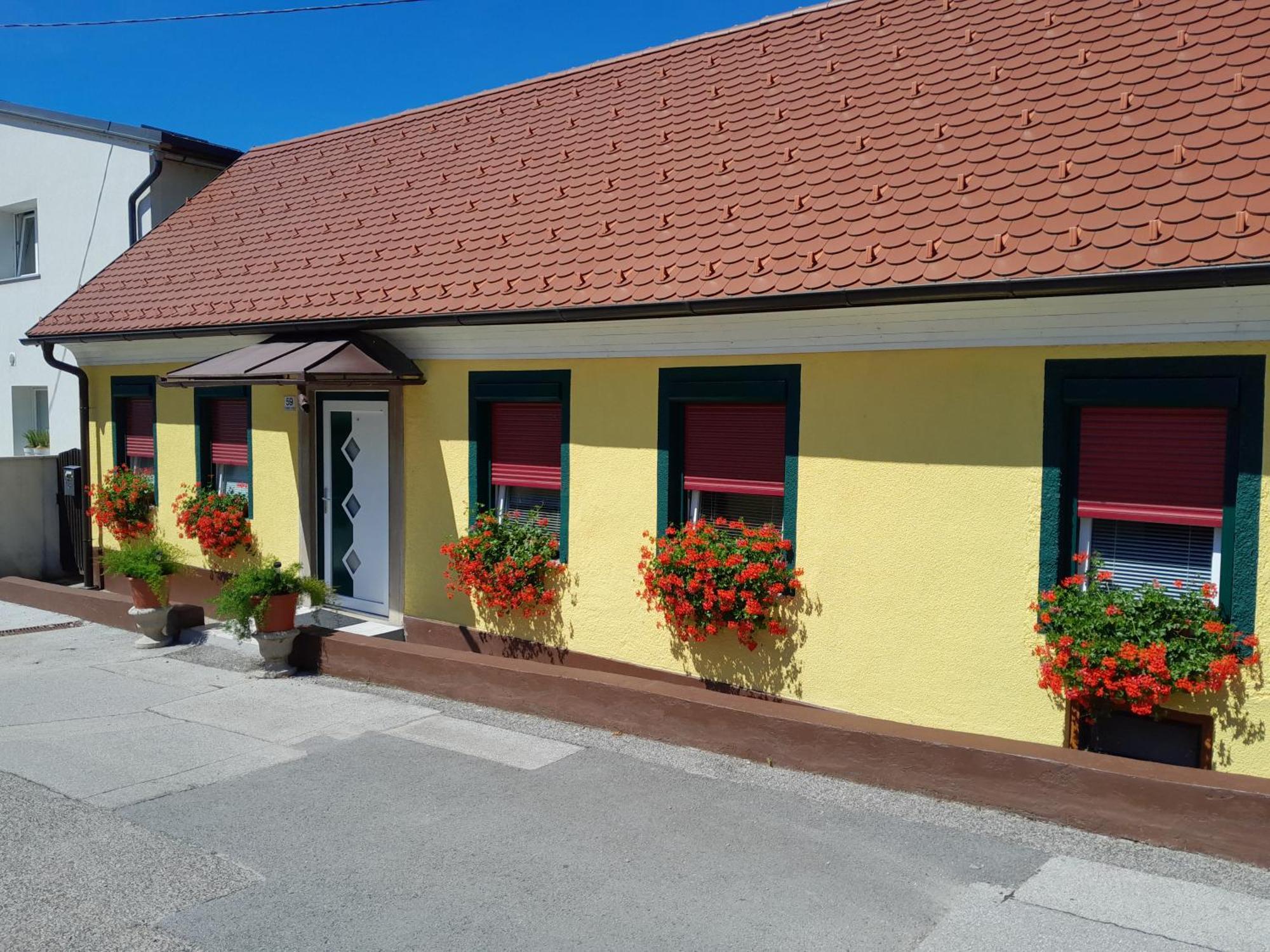 Hotel Pri Belokranjcu Novo Mesto Luaran gambar